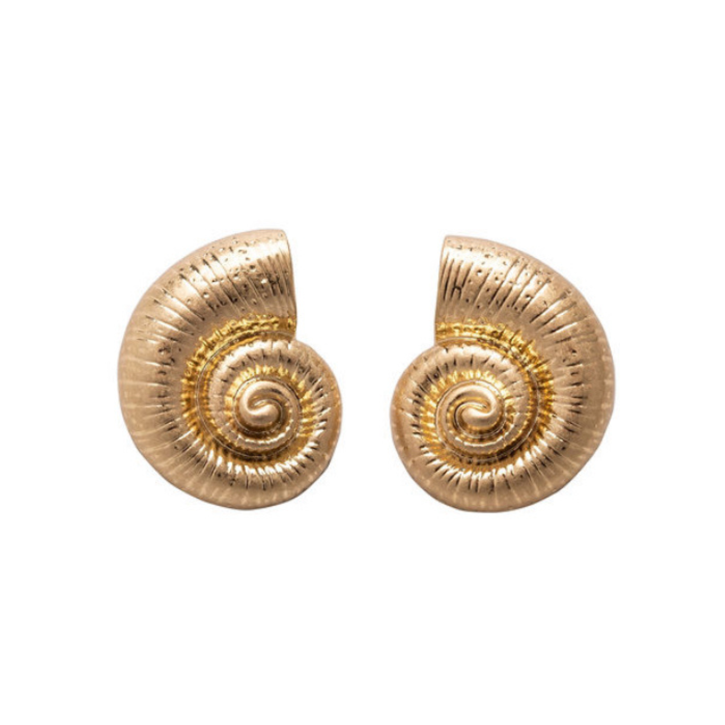Nautilus Snail Stud Earrings