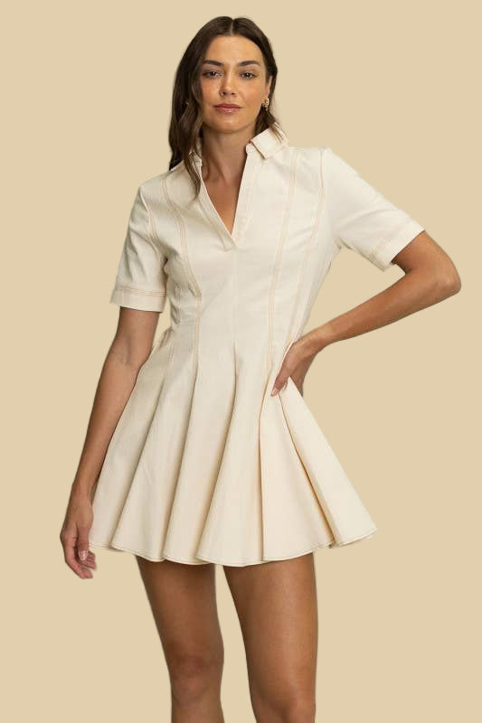 Collared Fit & Flare Mini Dress