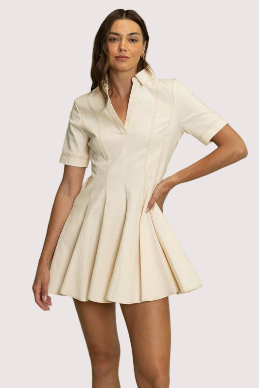 Collared Fit & Flare Mini Dress