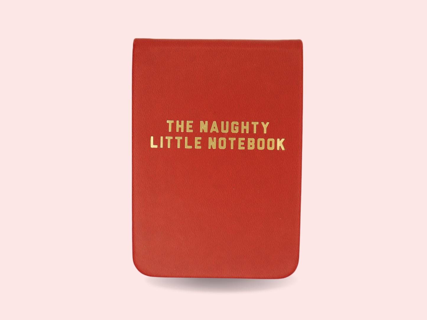 Pocket Journal- The Naughty Little Notebook Red Leatherette