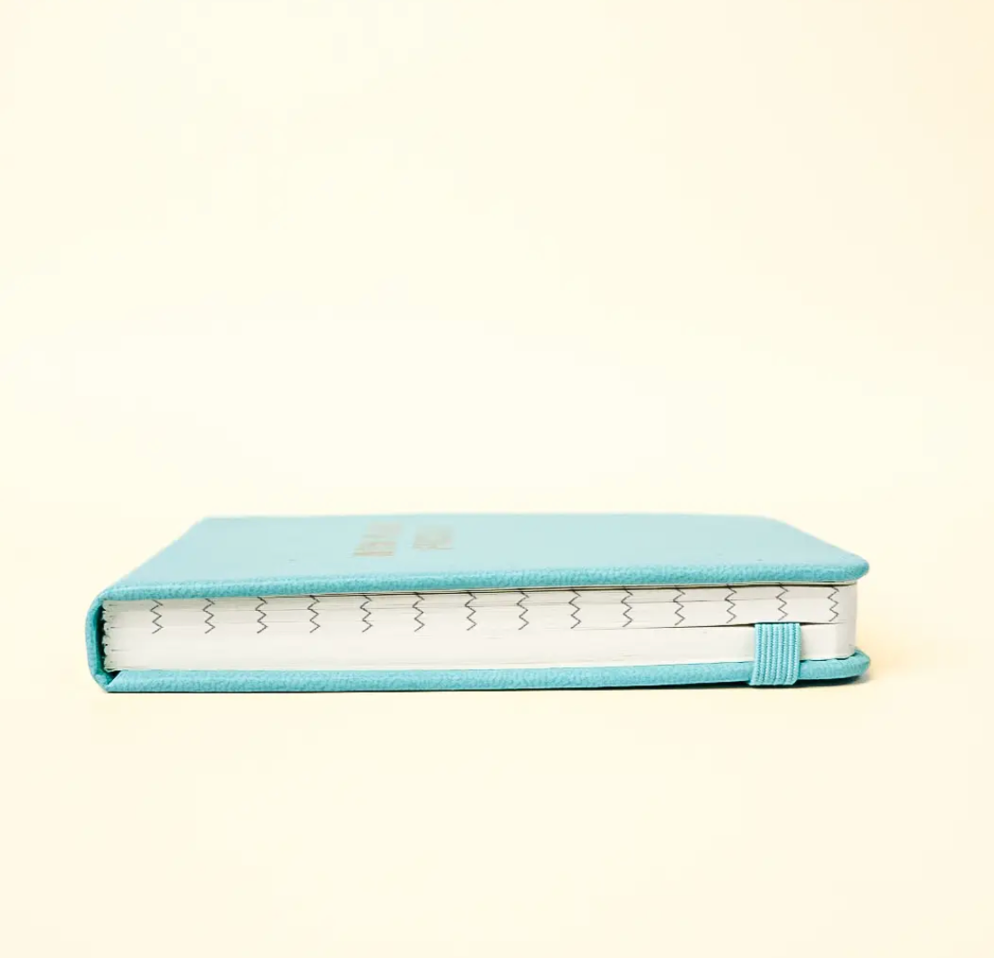 Pocket Journal- The Naughty Little Notebook Red Leatherette