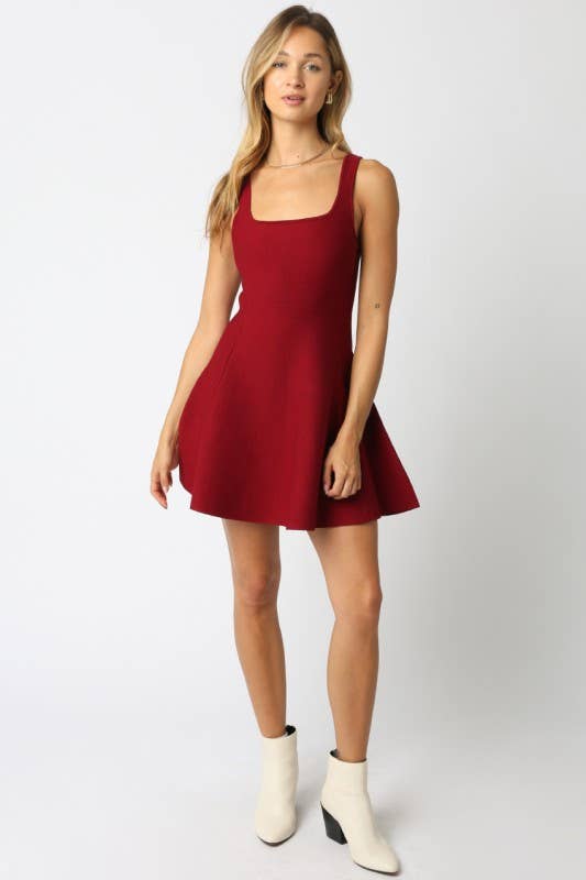 Flare Knit Dress