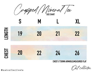 NEVER LOST A TAILGATE Cropped Graphic Top - Verte Boutique